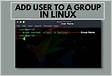 Como adicionar um usuário a um grupo no Linux via termina